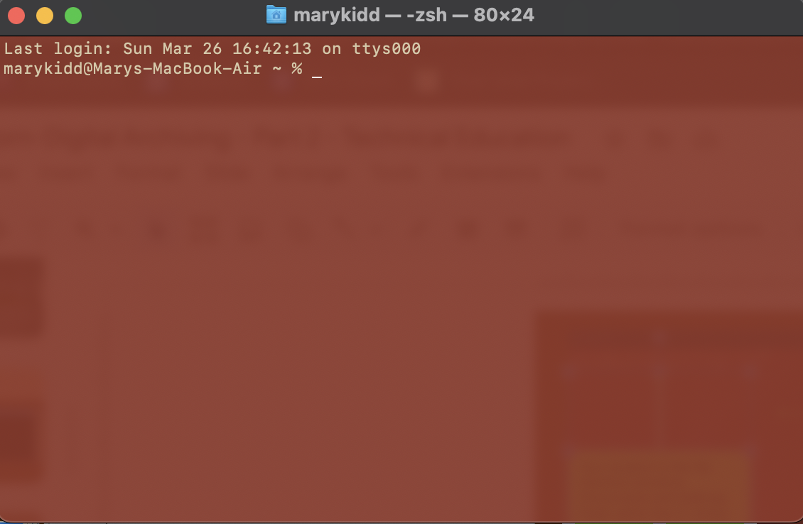 An Informatics General computer programmer working in a cubicle at the company's New York City office. She is looking at Pascal language code for the TAPS product on an IBM 3270 terminal. Date: October 1, 1983