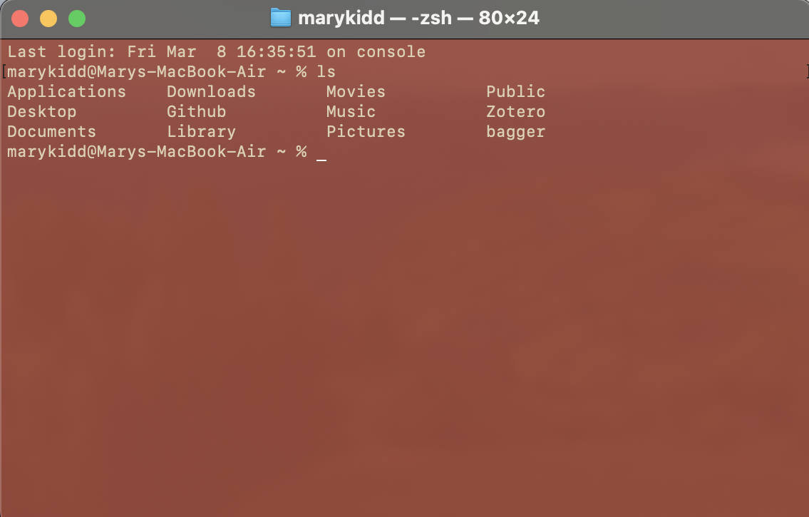 Mac terminal using zsh shell, with the command ls (list)