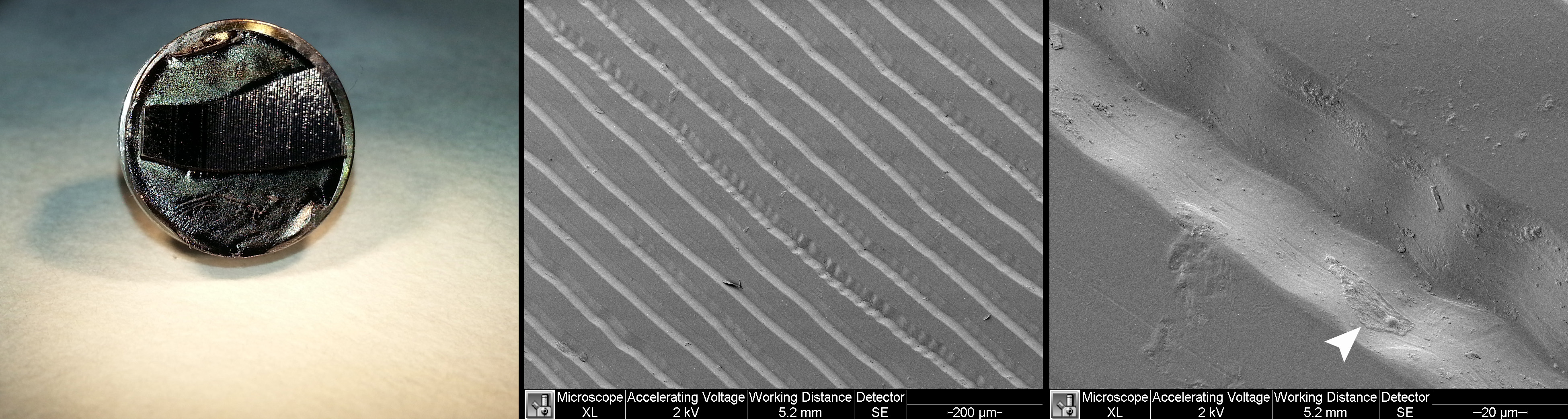 Scanning Electron Microscopy image of the record "je t'aime...moi non plus" with Jane Birkin and Serge Gainsbourg.