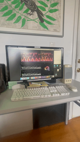 Animated gif showing a live transfer of a VHS tape.